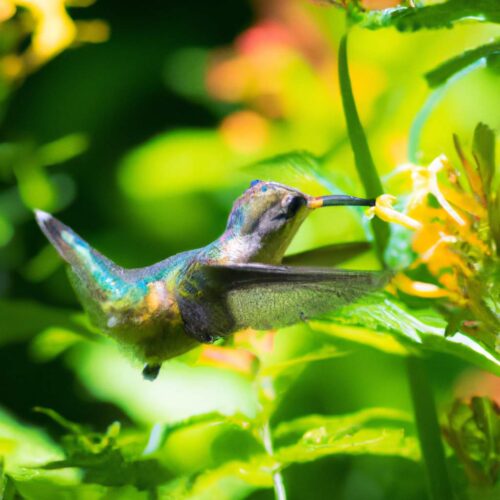 la-theorie-du-colibri-une-revolution-ecologique-pour-sauver-notre-planete