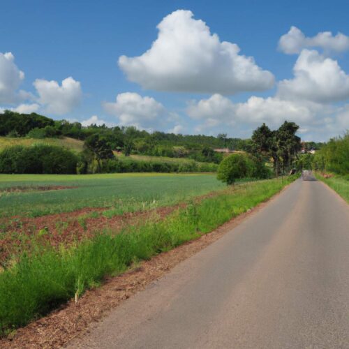 vivre-a-la-campagne-sans-voiture-le-guide-ultime-pour-une-vie-en-harmonie-consofutur